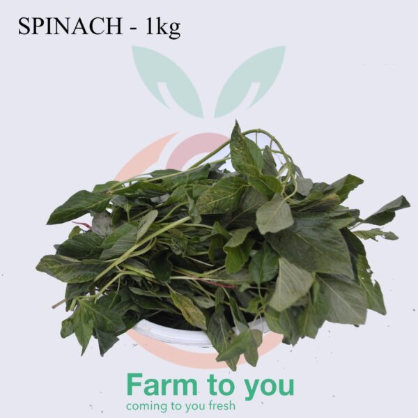 Spinach (Alayahu)