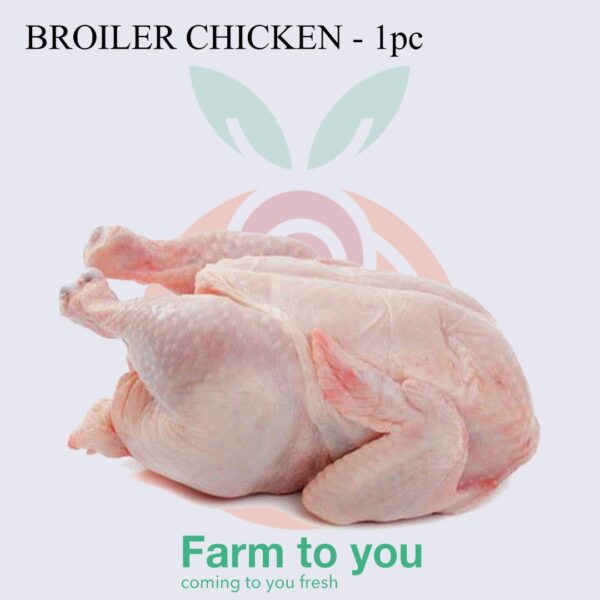 Broiler Chicken 1Pc