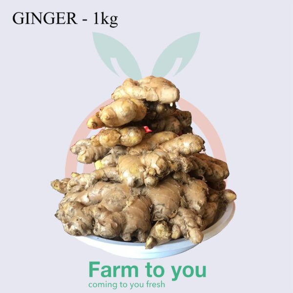 Ginger - Image 2